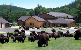 Creekside Lodge At Custer State Park Resort